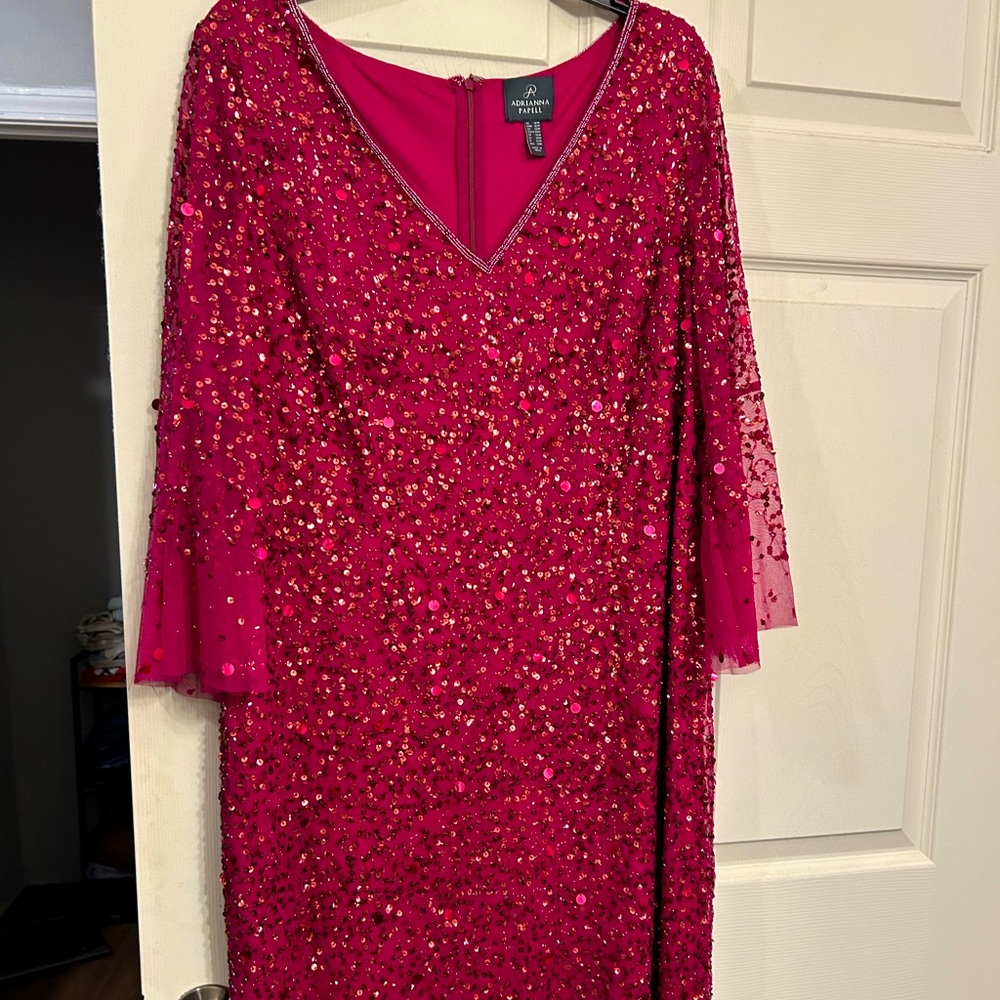 Adrianna Papell Plus Size Women’s Cocktail or party dress. - Picture 2 of 5
